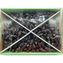 Safawi Premium Saudi Dates 5kg