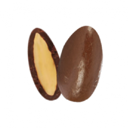 Gourmet Dragee 500g