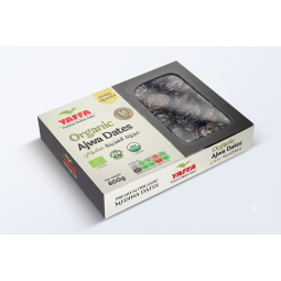 Ajwa Premium Saudi Dates 450kg