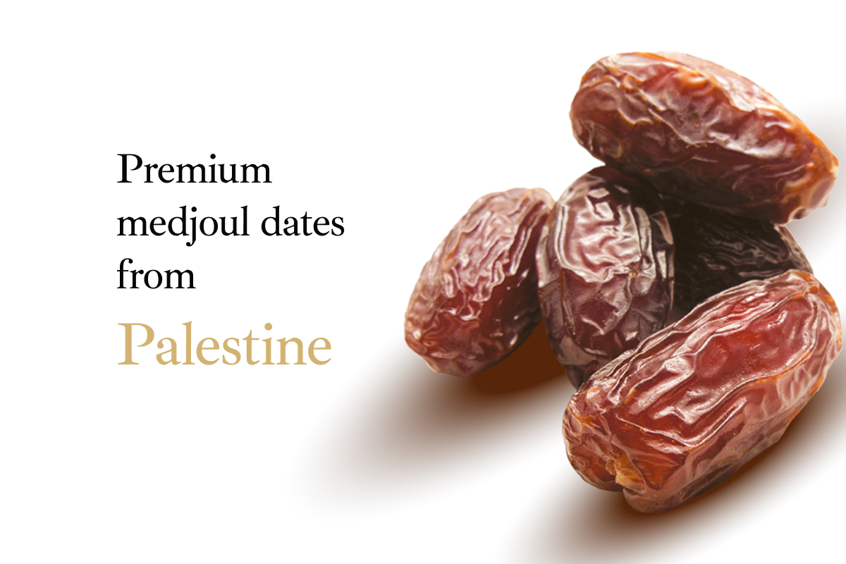 Yaffa Medjoul Dates
